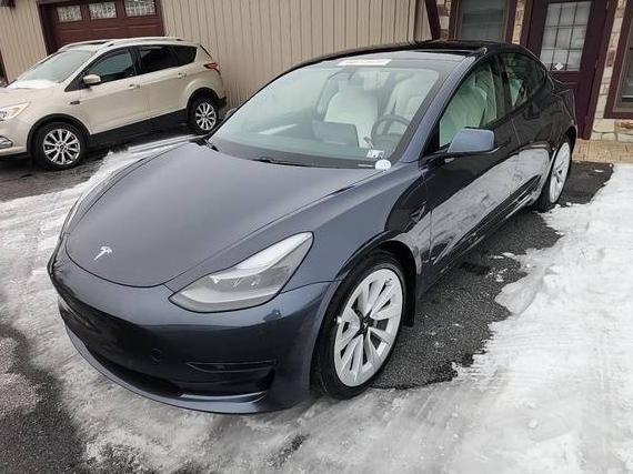 TESLA MODEL 3 2021 5YJ3E1EA2MF084982 image TESLA MODEL 3 2021 5YJ3E1EA2MF084982 image